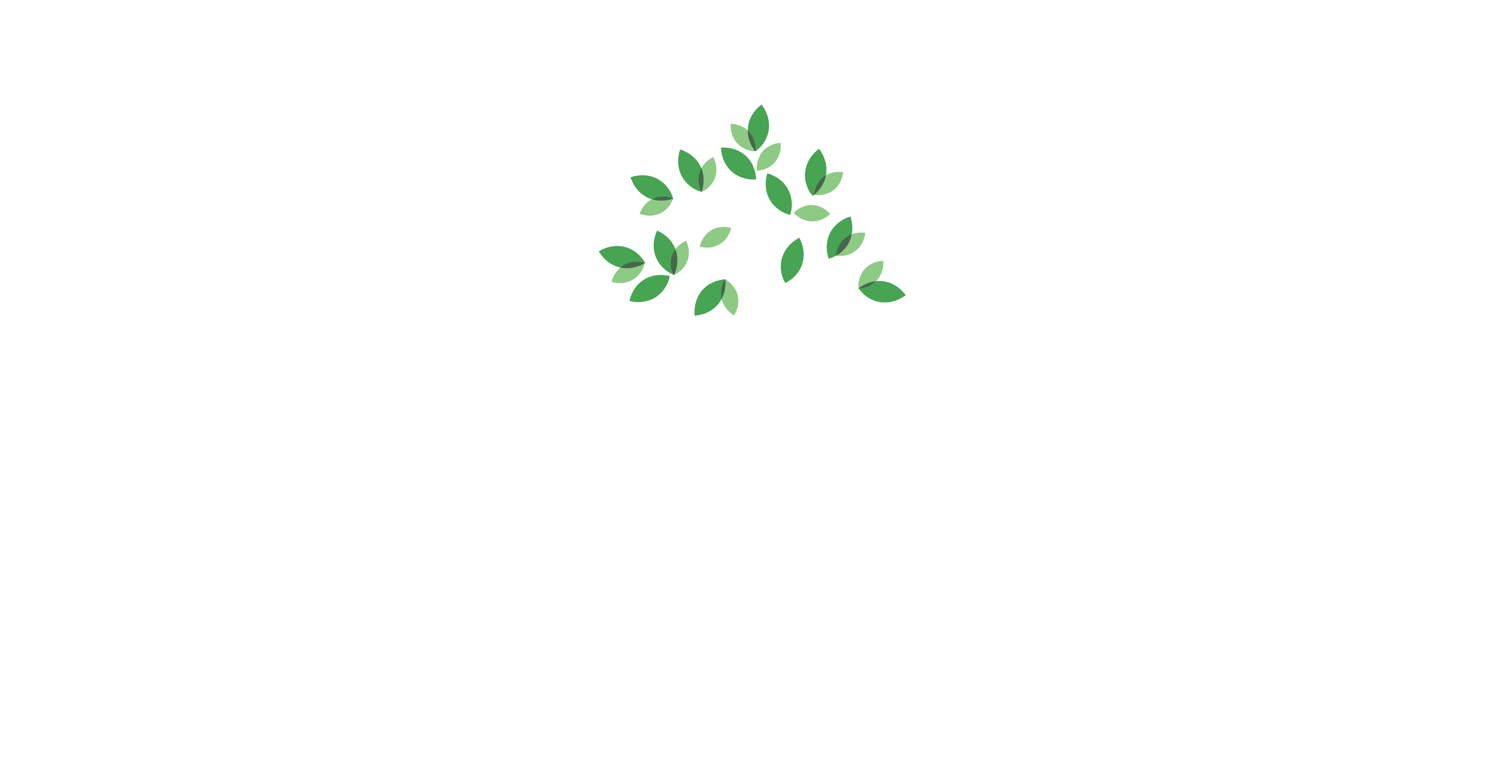 Cholangiocarcinoma Foundation
